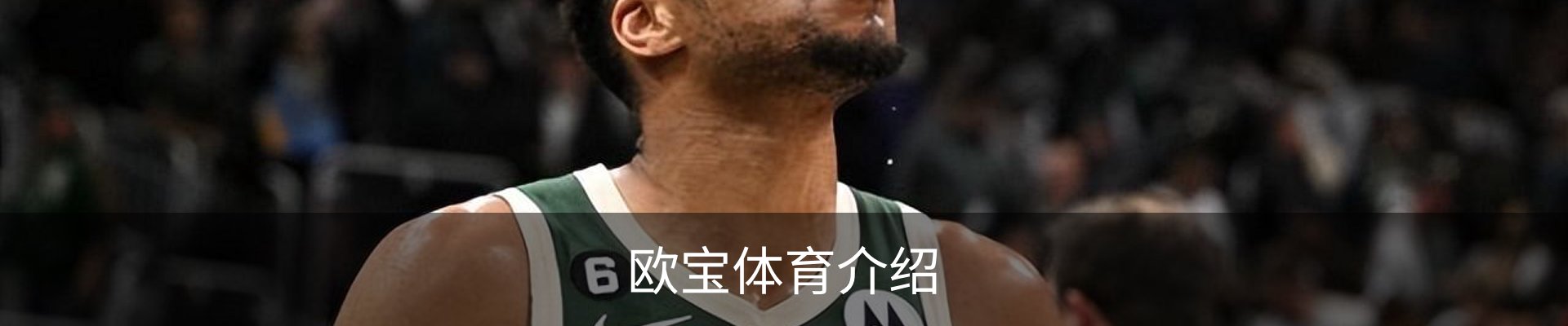 欧宝体育介绍