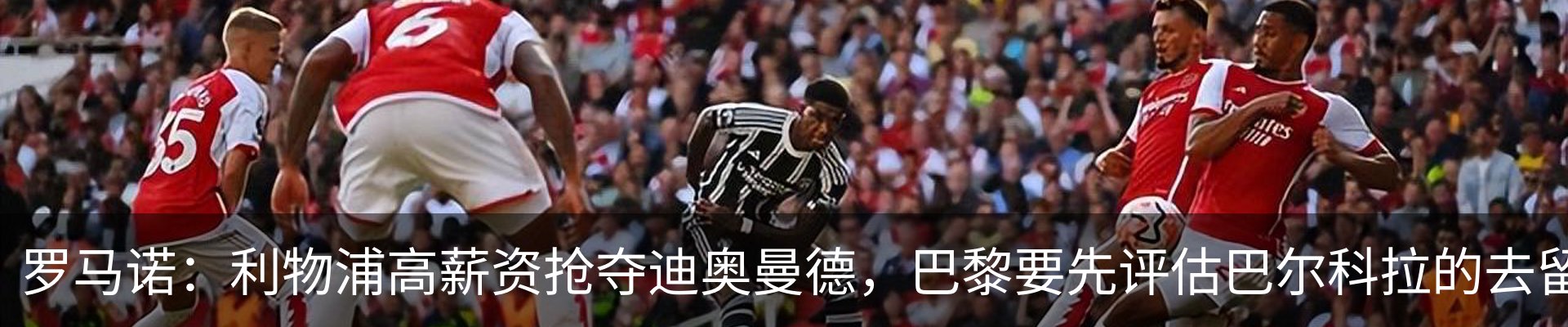 最新动态