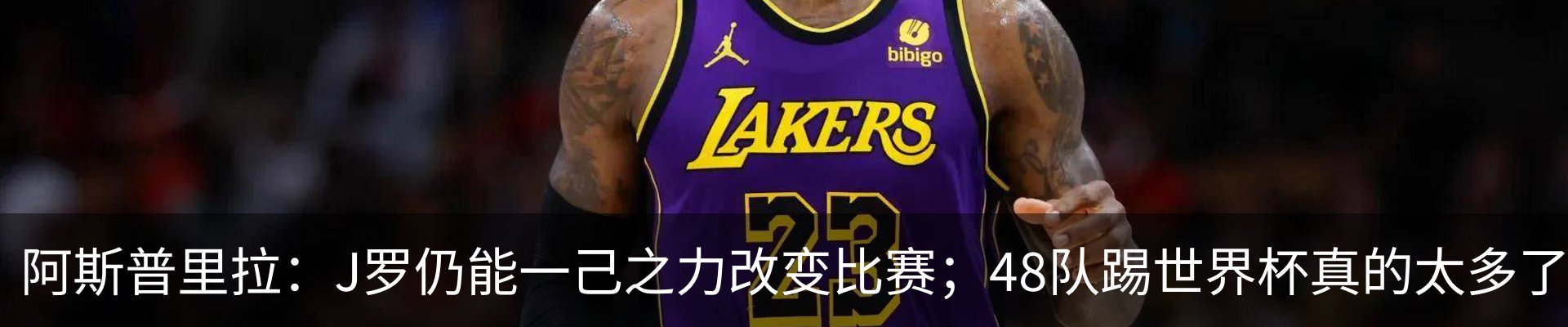 最新动态